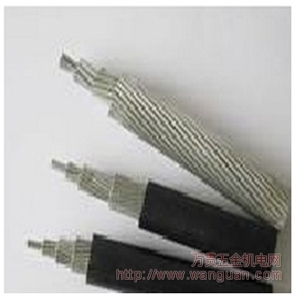 绵阳电线电缆之三芯交联聚乙烯绝缘轻型架空电缆概览