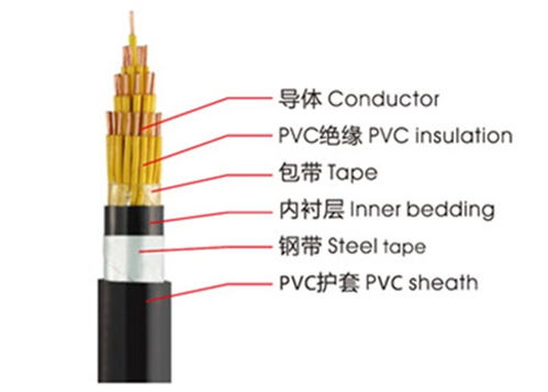 南洋电缆 中国电缆行业的卓越领航者
